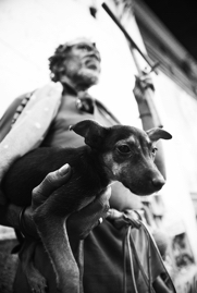 Holy Man and His Dog, Havana, Cuba, 2018.jpg