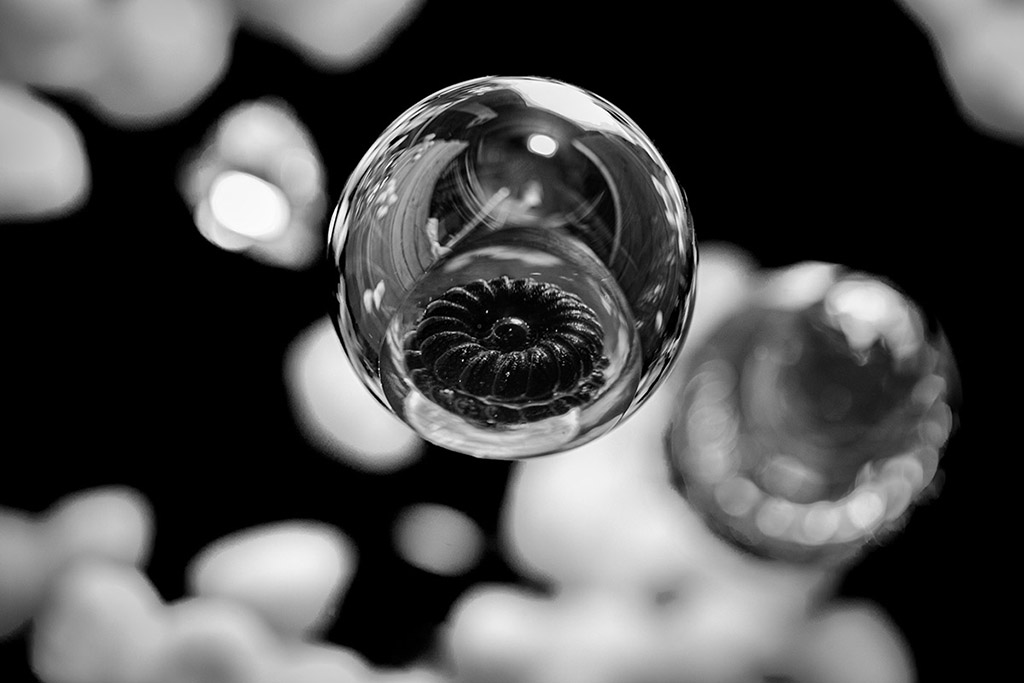 Orb_BWA_Calabasas_California_2024 copy.jpg