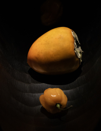 Persimmon and Pepper_Calabasas_California_2023 copy.jpg