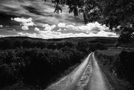 Country Irish Road, Ireland, 2018.jpg