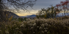 Autumn Panoramic, Vermont, 2019.jpg