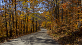 Foliage Drive, Vermont, 2019.jpg